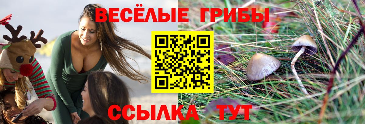 Елабуга  Псилоцибиновые грибы GOLDEN TEACHER  Вход с VPN 